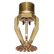 Demo Image